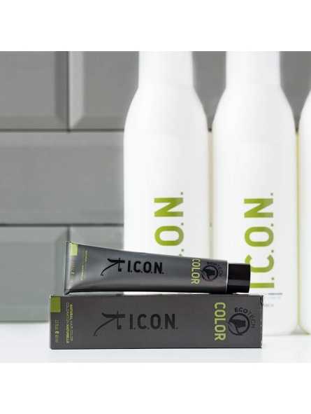 ICON Color Paint Metallic Slate Violet - ICON Stains