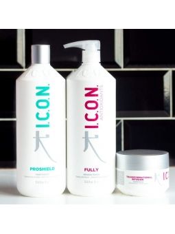 Pak ICON antioxidanter fuldt ud + modgift + transformationsinfusion