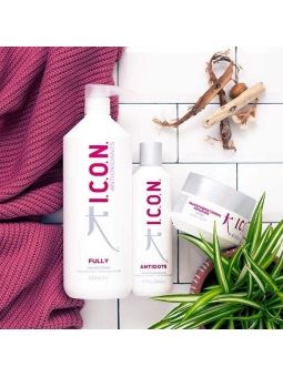 Pack ICON Antioxidante Fully 1Litro + Antidote + Transformational Infusion