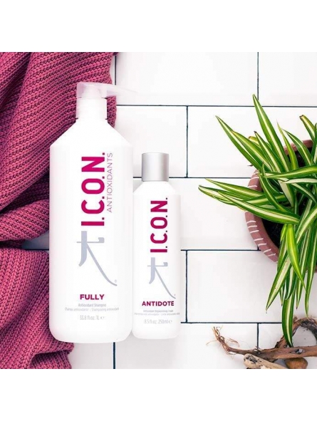 Pack ICON Fully Shampoo 1 Liter + Antidote Cream 250ml