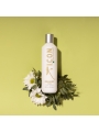 ICON Shampoing Naturel Bio au CBD 250ml