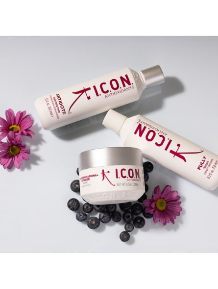 Συσκευασία ICON Antioxidants Fully + Antidote + Transformational Infusion