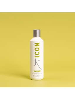 ICON Awake Entgiftender Conditioner